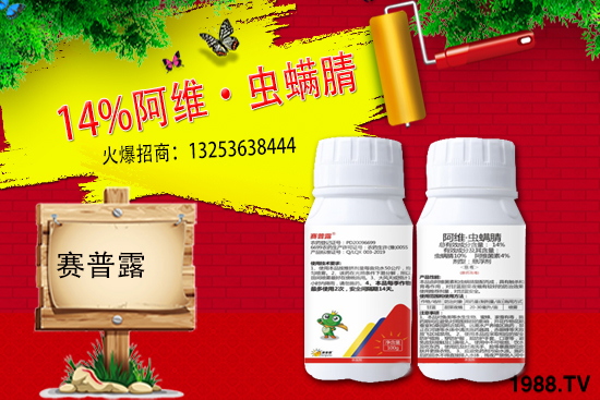 ِ��¶����𱬁��u���ٺ����r(n��ng)�����̾W(w��ng)�_��(chu��ng)���x�ͣ�