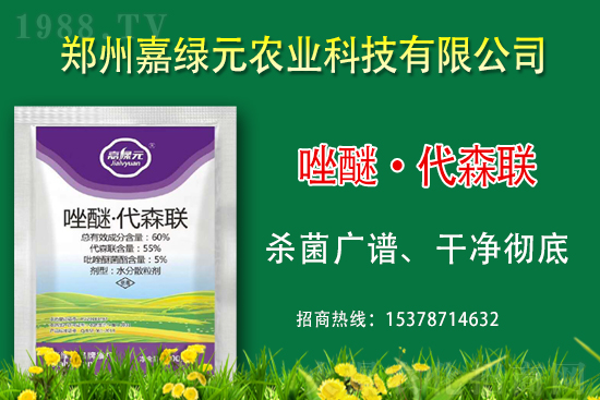 �������������ξGԪ�r(n��ng)�I(y��)�ٺ�1988.TV������(chu��ng)���x����