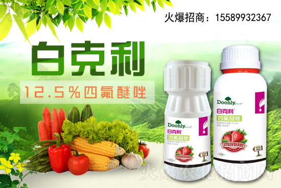 德國東利續(xù)約1988.TV!戰(zhàn)略合作關(guān)系再上新臺階!