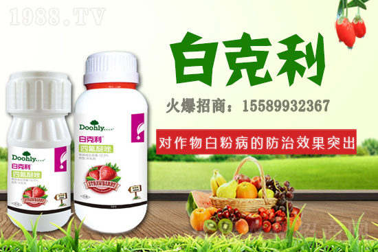 德國東利續(xù)約1988.TV!戰(zhàn)略合作關(guān)系再上新臺階!