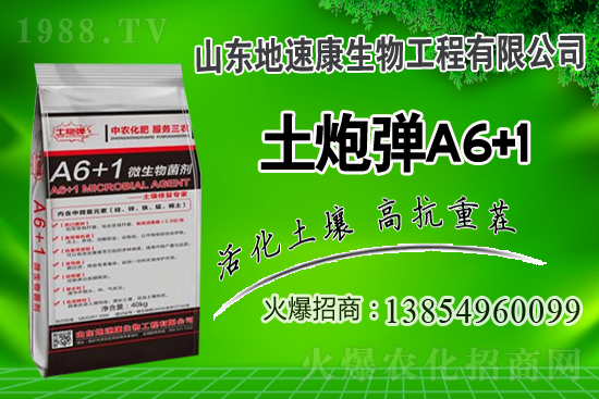合作關(guān)系再升華,山東地速康與1988.TV開啟新篇章!