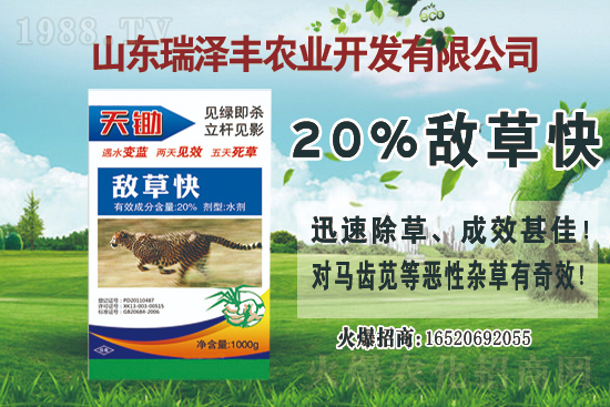 2021��7��12�մ󶹳��݄��r������