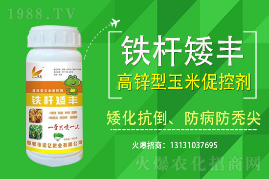 2021��7��13�ս������׃r�������Ո�