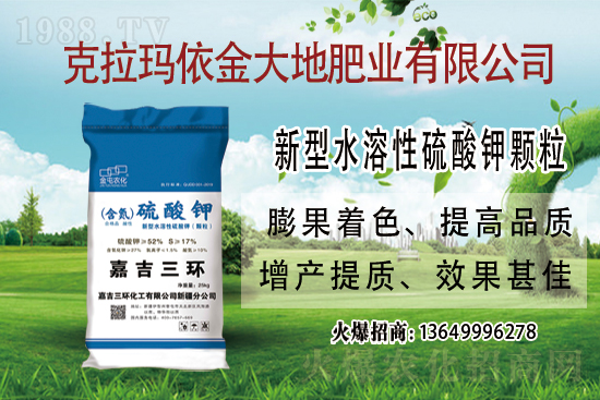 鉀肥市場保持堅挺走勢！今日鉀肥價格走勢及交易日評