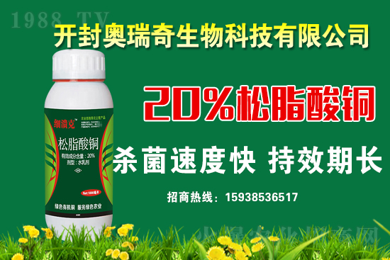 �W��������𱬁�(l��i)�u���y��1988.TV�_(k��i)���W(w��ng)�j(lu��)���������̣�