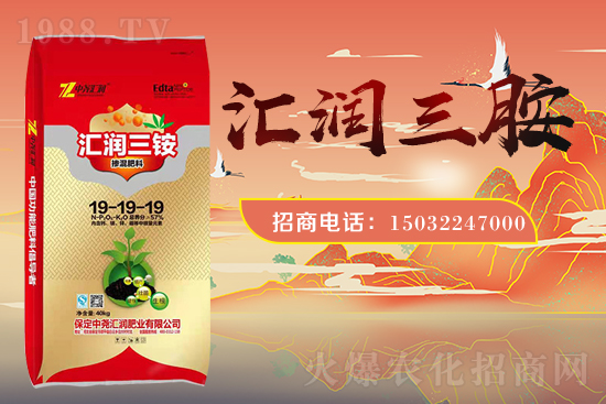 �r(n��ng)���W(w��ng)ϲӭ���������Ј�R�����s1988.TV�y�ִ����������E��