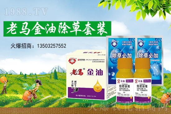 2021-7-20���ٳ��݄��r�������߄�