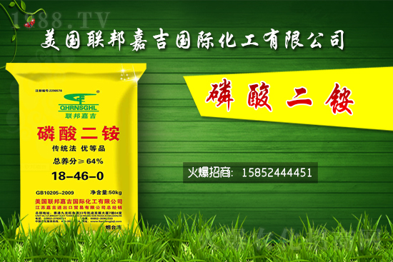 二銨價(jià)格堅(jiān)挺!7月24日國內(nèi)二銨價(jià)格行情