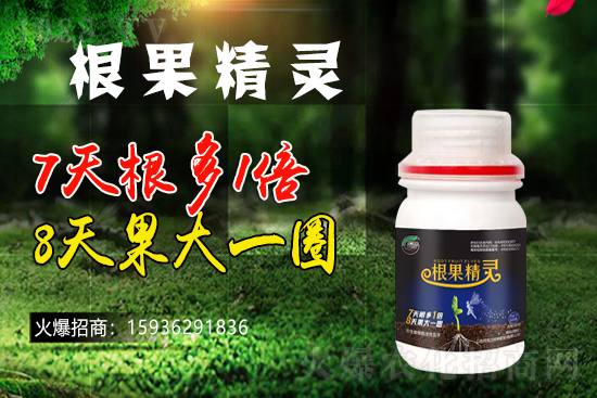 ��ɫ�и��m���m(x��)1988.TV�����\�����°l(f��)չ��