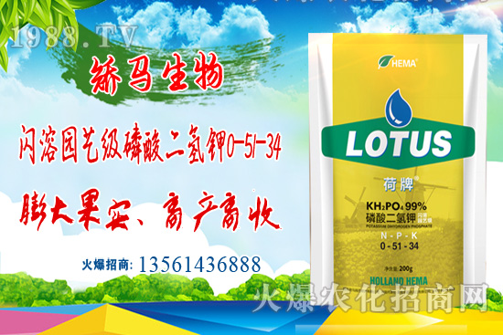 �r(n��ng)�I(y��)�r(n��ng)�岿���ό���ָ��(d��o)�M��֥�鿹��(z��i)�p��(z��i)��(y��ng)������