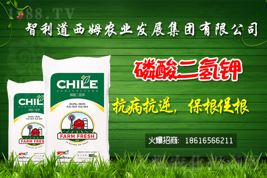 ��������ķ�ٺ�1988.TV���_���W(w��ng)�j(lu��)������ģʽ��