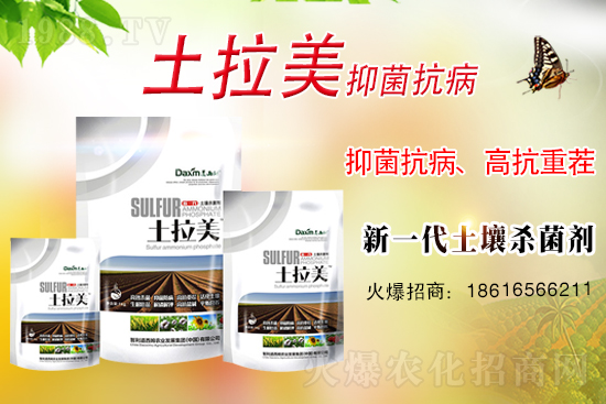 ��������ķ�ٺ�1988.TV���_���W(w��ng)�j(lu��)������ģʽ��