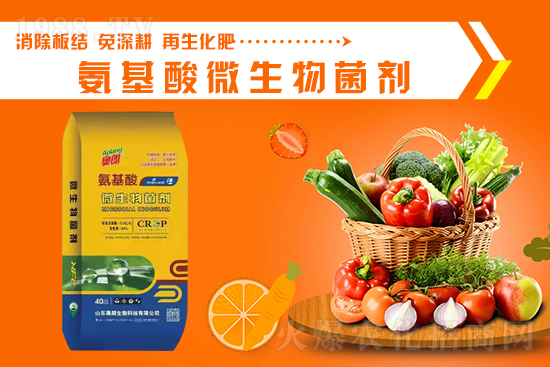 ɽ�|�W�������ٺ�1988.TV���y�ִ����������E��