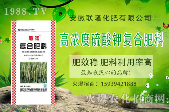 �����P(gu��n)ϵ�����A��(li��n)¡�����m(x��)�s1988.TV�����\�����°l(f��)չ��