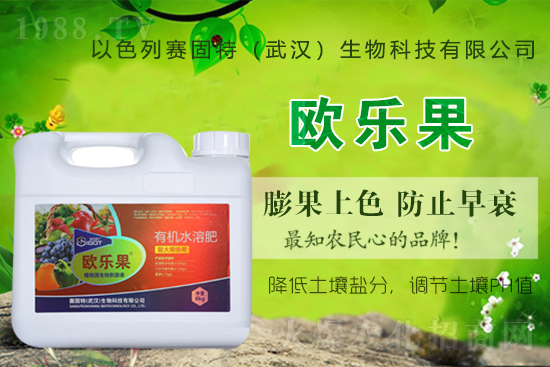 ��ɫ��ِ�����ٶȔy��1988.TV���y�ֹ���(chu��ng)��(zh��n)�����ل�(chu��ng)�x�ͣ�