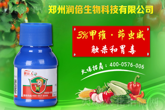 危害盛期的桃蚜如何防治？桃樹蚜蟲的危害與防治！