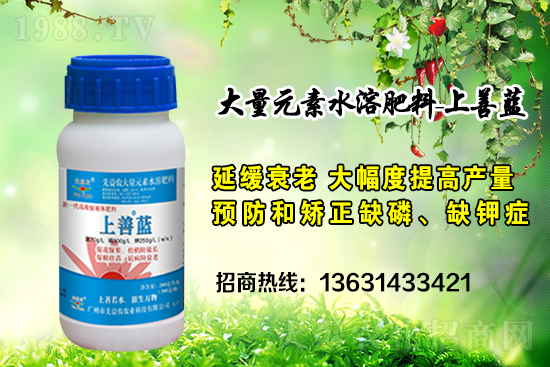 廣州市先益農(nóng)再度攜手1988.TV,攜手共創(chuàng)新戰(zhàn)績(jī)!