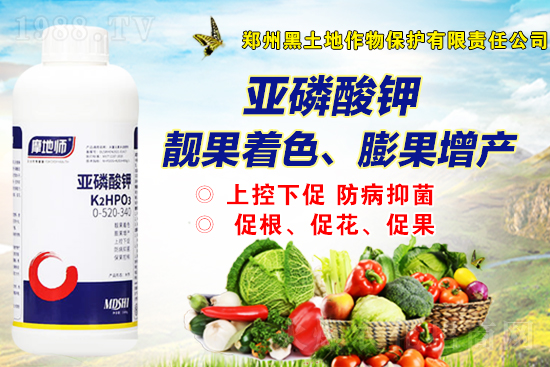 2021年9月1日國(guó)內(nèi)磷銨價(jià)格行情走勢(shì)