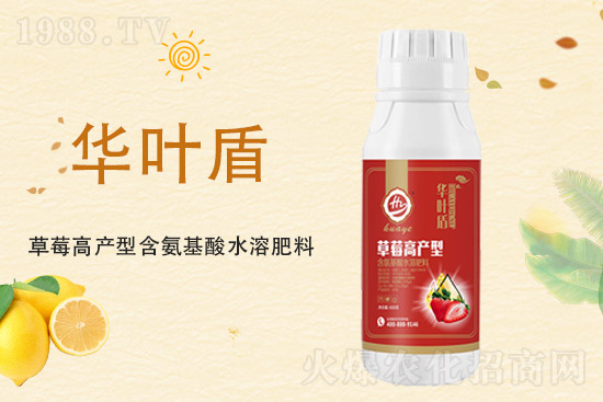 氯化鉀價(jià)格上漲,2021年9月10日鉀肥價(jià)格行情