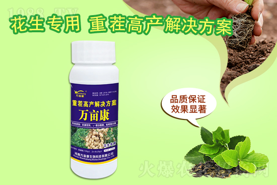 二銨暫穩(wěn)為主,20219月10日磷銨價(jià)格行情報(bào)價(jià)