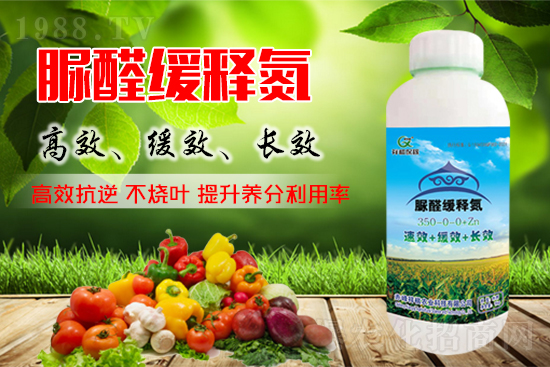 尿素期貨主力合約大幅上漲,尿素價(jià)格會(huì)如何變化?