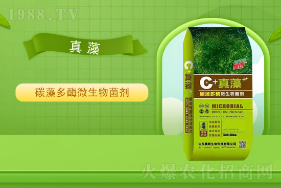 �Ȼ�⛃r��ƽ��(w��n)��2021��9��2�Շ���⛷ʃr���߄�