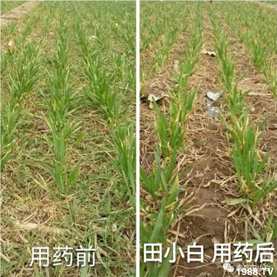 ��(ji��)��(ji��)��Σ����(y��n)����ô����ʲôˎ��Ч������