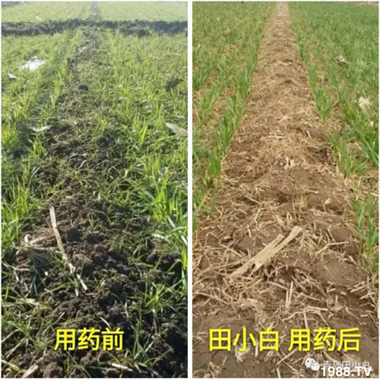 ��(ji��)��(ji��)��Σ����(y��n)����ô������ʲôˎ��Ч���ã�