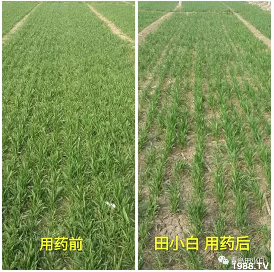 ��(ji��)��(ji��)��Σ����(y��n)����ô������ʲôˎ��Ч������