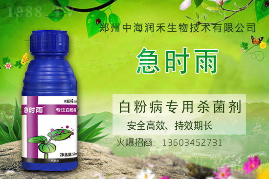 �r(n��ng)ˎ�r��