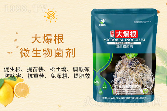 ���@�r��ַ�(w��n)��2021��9��3�����@�r���������