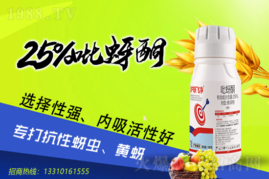 菜豆殺蟲(chóng)劑