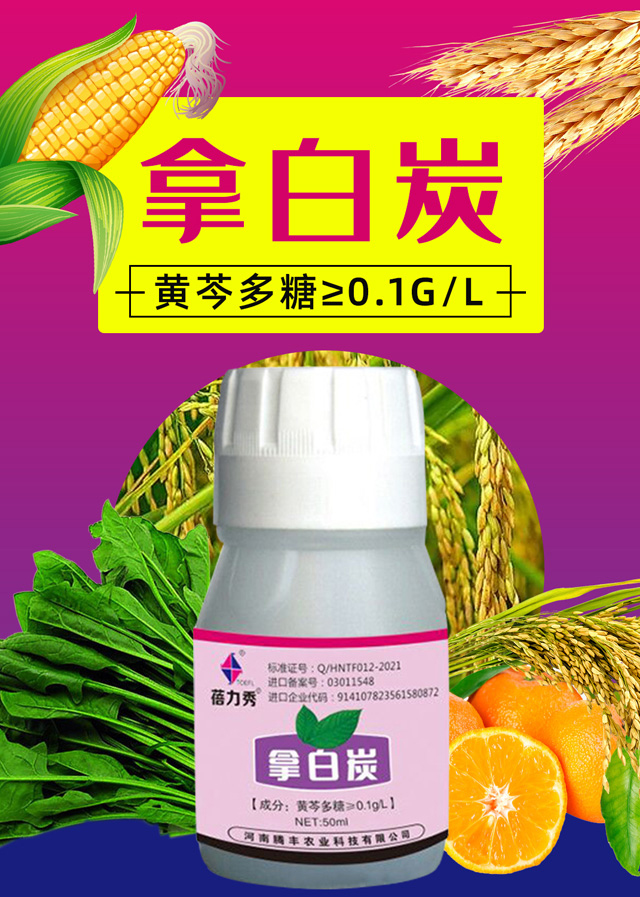 �ð�̿-������-�v�S�r(n��ng)�I(y��)_01