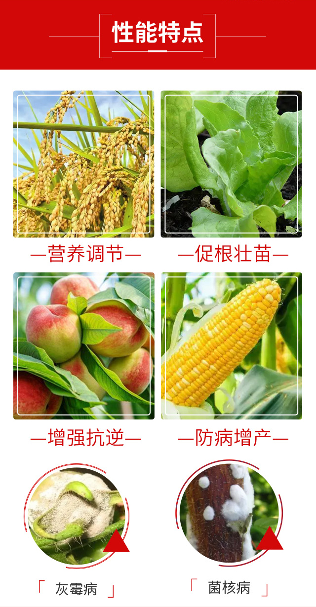 �Һ�-������-�v�S�r(n��ng)�I(y��)_04