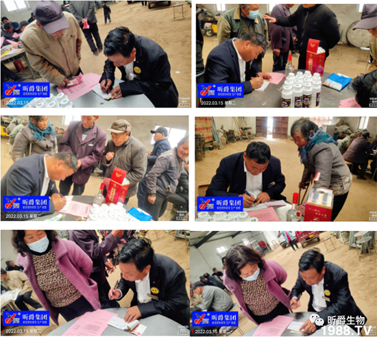 用過(guò)肥力精的小麥莖桿桿粗壯根系發(fā)達(dá)