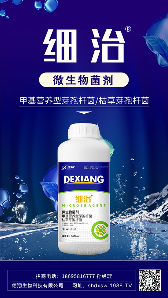 如何有效防治柑橘瘡痂病？柑橘瘡痂病為害及防治藥劑推薦！