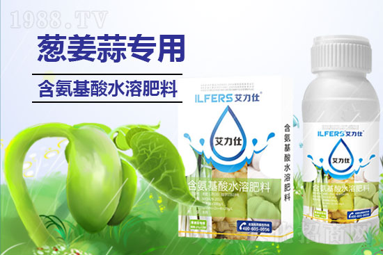 大蒜葉尖干枯如何防?解決大蒜葉尖怎么做?