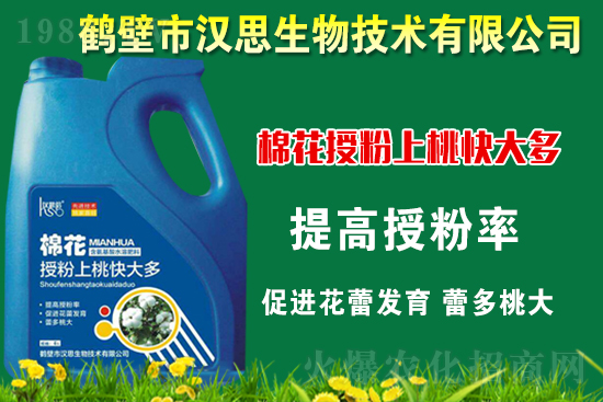 �޻��Nֲ��ô�������޻������L(zh��ng)�ڹ���Ҫ�c(di��n)