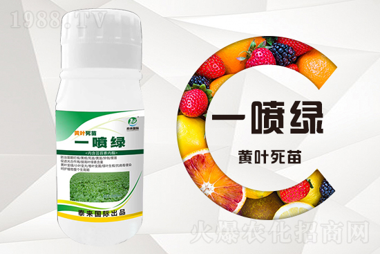 大棚蔬菜育苗為什么容易死苗？怎么解決？