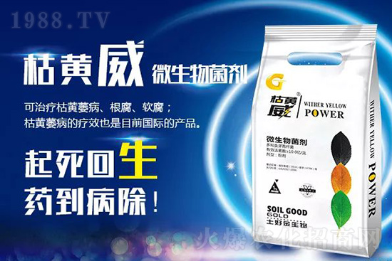 枯黃萎、立枯等病害怎樣滅殺？用它就夠了！