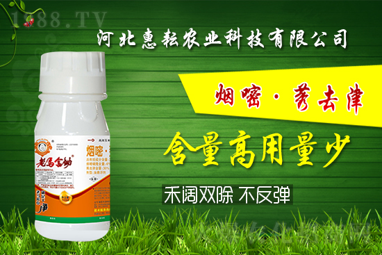 封殺雙效！禾闊通除！玉米田除草記住這個(gè)配方就夠了! 
