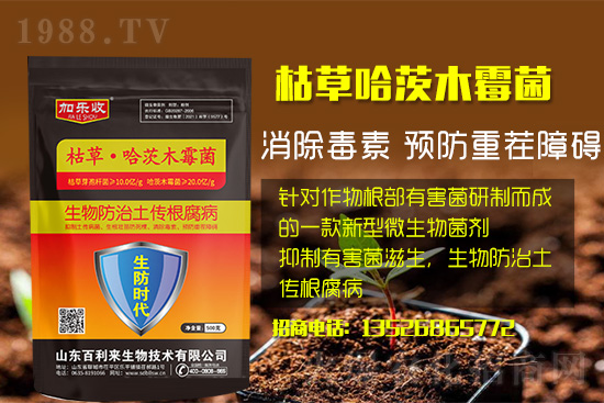 ���������l(f��)��ô��������������ʲôˎ�÷���Ч������