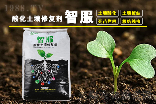 近期稻瘟酰胺殺菌劑價格（4月14）