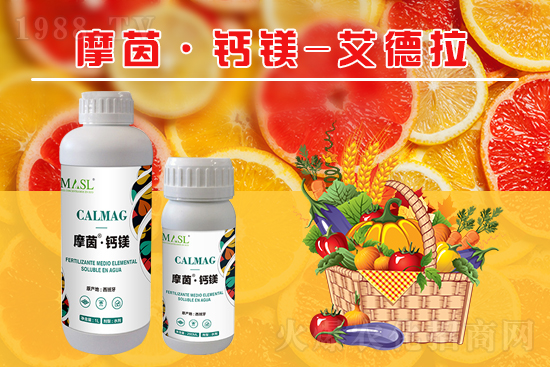 ����(sh��)�a(b��)�}�S���ځ�(l��i)�ˣ�����a(b��)���}�V����