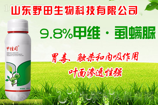 ��Сʳ���x��οƌW(xu��)��ˎ����Сʳ���x�l(f��)��ԭ�򼰷��ν��h��