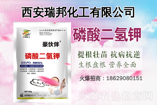     近期國內(nèi)鉀肥價(jià)格市場行情分析（4月21日）