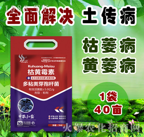     細(xì)菌性病害有哪些？防治藥劑怎么選？一篇文章說明白