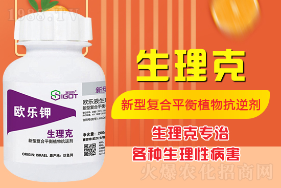 番茄臍腐病有什么癥狀？怎么解決番茄臍腐病？