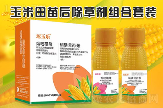 玉米除草效果差，什么原因？玉米除草劑怎么選？