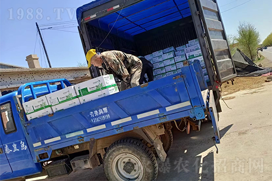 ���N��Ʒ����(sh��)���S��������2̖(h��o)�l(f��)؛��ͣЪ